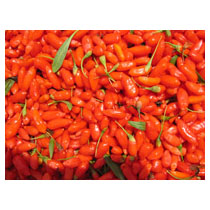 GOJI (gouči)